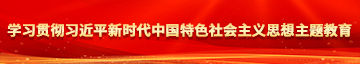 爆操淫荡骚逼视频学习贯彻习近平新时代中国特色社会主义思想主题教育